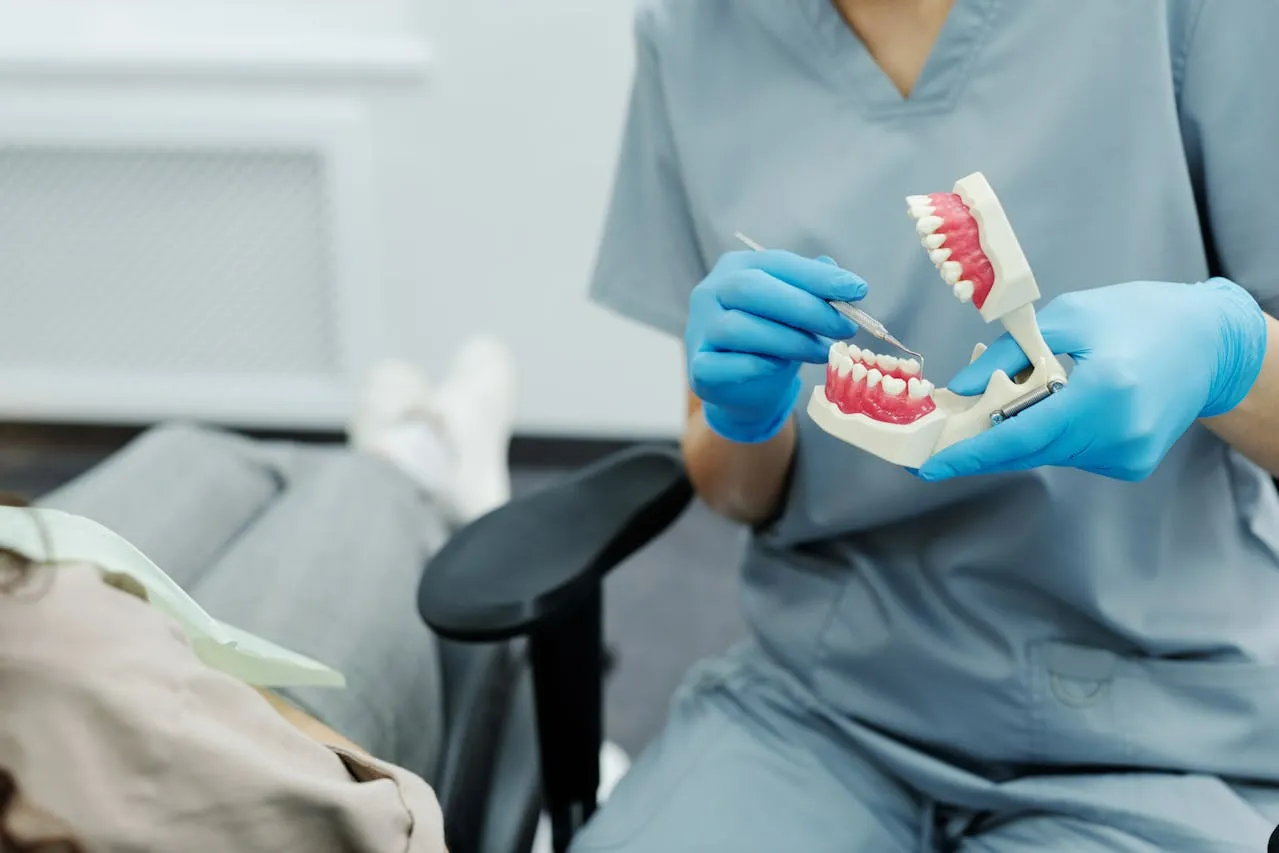 Dentist using a tooth model to explain filling treatment during a consultation.